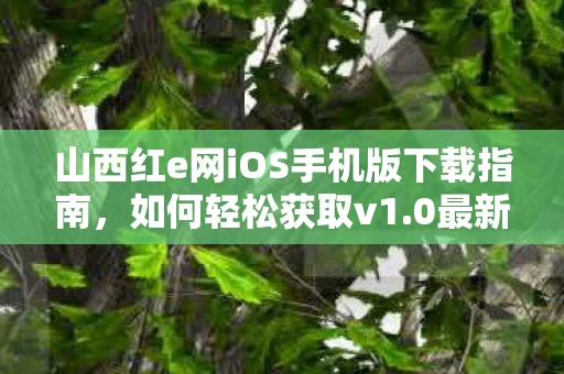山西红e网iOS手机版下载指南，如何轻松获取v1.0最新版本？