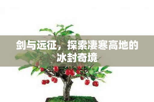 剑与远征，探索凄寒高地的冰封奇境