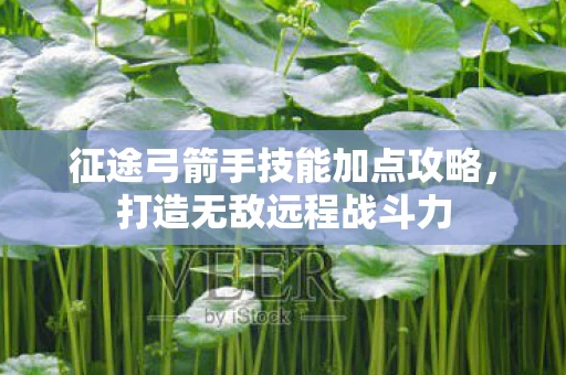 征途弓箭手技能加点攻略，打造无敌远程战斗力