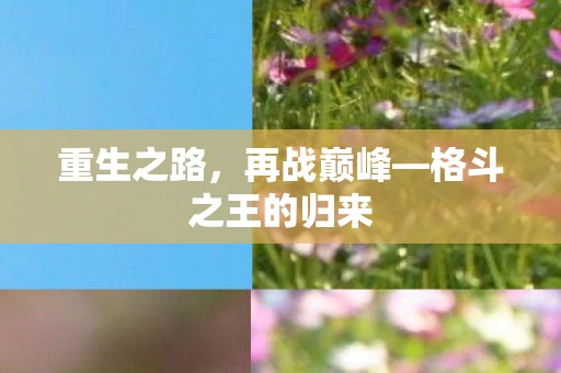 重生之路，再战巅峰—格斗之王的归来