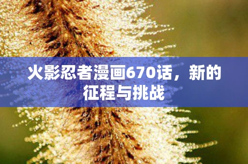 火影忍者漫画670话，新的征程与挑战