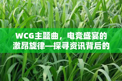 WCG主题曲，电竞盛宴的激昂旋律—探寻资讯背后的激情与荣耀