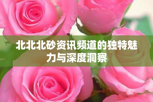 北北北砂资讯频道的独特魅力与深度洞察