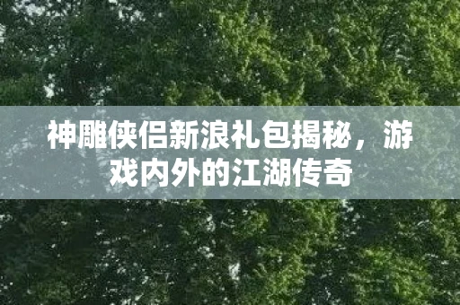 神雕侠侣新浪礼包揭秘，游戏内外的江湖传奇