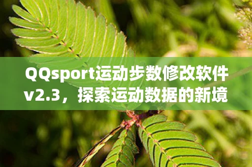 QQsport运动步数修改软件v2.3，探索运动数据的新境界