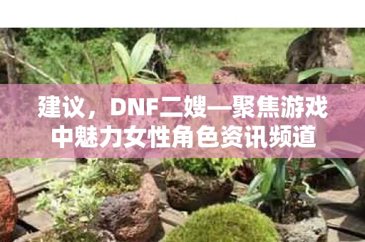 建议，DNF二嫂—聚焦游戏中魅力女性角色资讯频道