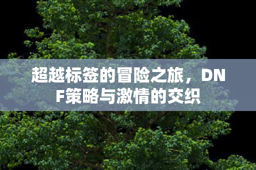 超越标签的冒险之旅，DNF策略与激情的交织