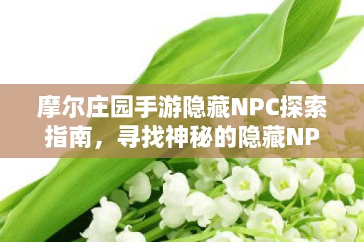 摩尔庄园手游隐藏NPC探索指南图片
