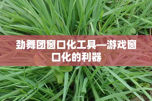 劲舞团窗口化工具图片
