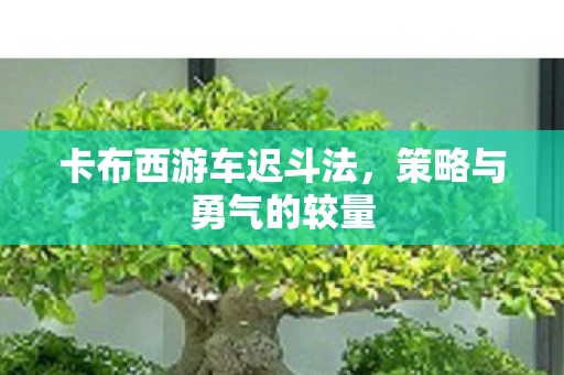 卡布西游车迟斗法，策略与勇气的较量