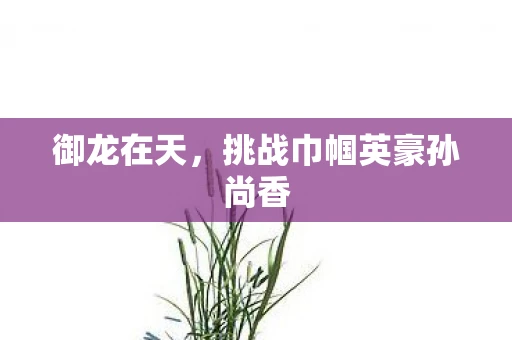 御龙在天，挑战巾帼英豪孙尚香