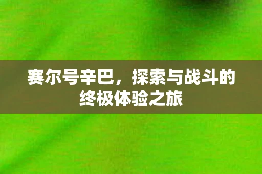 赛尔号辛巴，探索与战斗的终极体验之旅