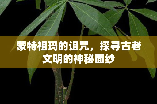 蒙特祖玛的诅咒，探寻古老文明的神秘面纱
