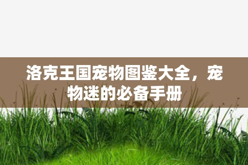 洛克王国宠物图鉴大全，宠物迷的必备手册