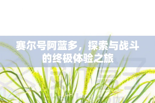 赛尔号阿蓝多，探索与战斗的终极体验之旅