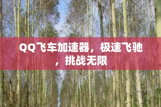QQ飞车加速器，极速飞驰，挑战无限