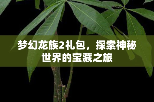 梦幻龙族2礼包，探索神秘世界的宝藏之旅
