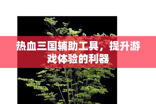 提升游戏体验的利器图片