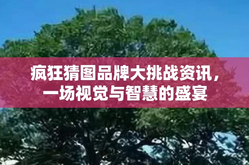 疯狂猜图品牌大挑战资讯，一场视觉与智慧的盛宴