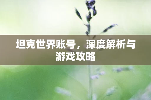 深度解析与游戏攻略图片