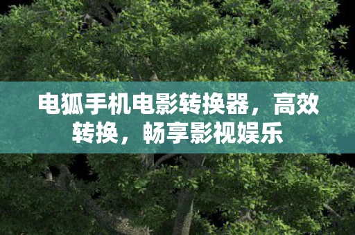 电狐手机电影转换器，高效转换，畅享影视娱乐