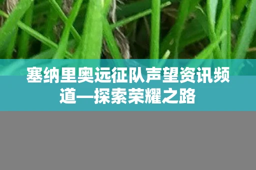 塞纳里奥远征队声望资讯频道—探索荣耀之路