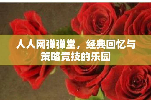 人人网弹弹堂，经典回忆与策略竞技的乐园