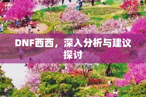 DNF西西，深入分析与建议探讨