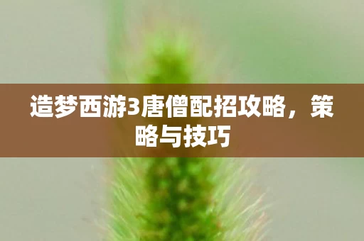 造梦西游3唐僧配招攻略图片