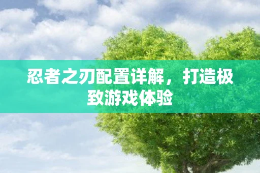 忍者之刃配置详解，打造极致游戏体验