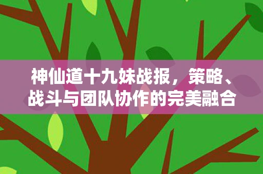神仙道十九妹战报，策略、战斗与团队协作的完美融合