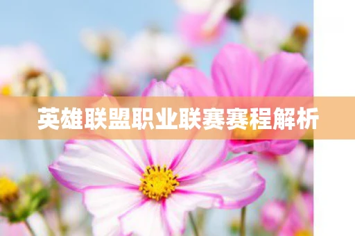 英雄联盟职业联赛赛程解析