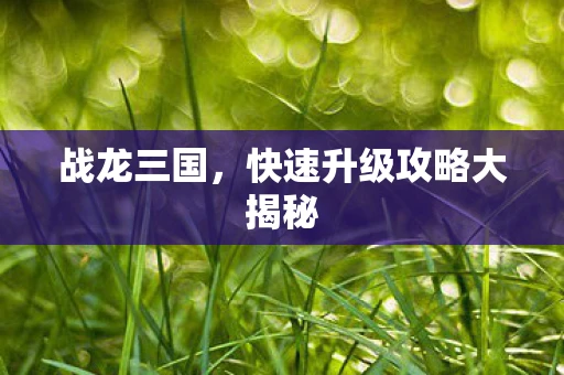 战龙三国，快速升级攻略大揭秘
