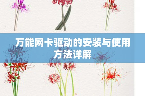 万能网卡驱动的安装与使用方法详解