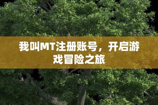 我叫MT注册账号图片