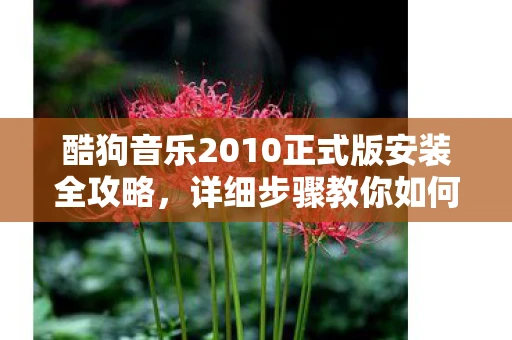 酷狗音乐2010正式版安装全攻略，详细步骤教你如何轻松安装