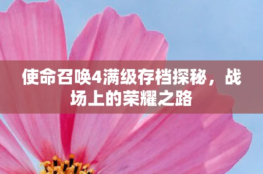 使命召唤4满级存档探秘，战场上的荣耀之路