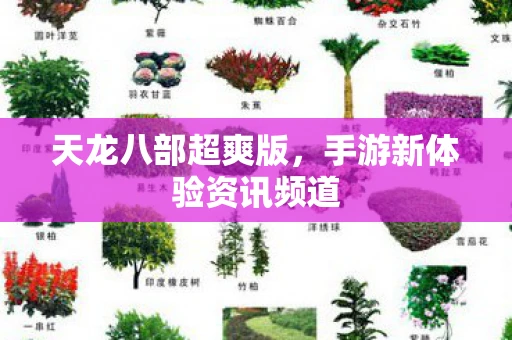 天龙八部超爽版，手游新体验资讯频道