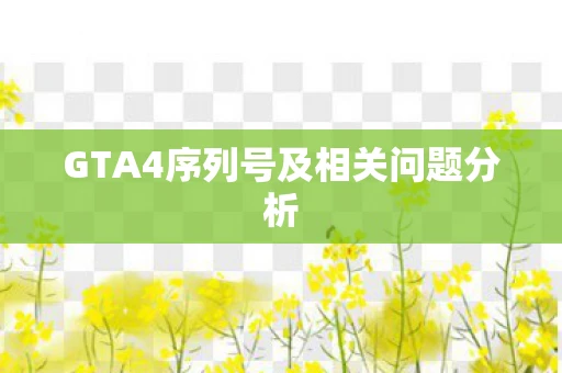 GTA4序列号及相关问题分析