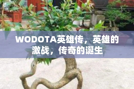 WODOTA英雄传，英雄的激战，传奇的诞生