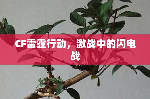 CF雷霆行动，激战中的闪电战