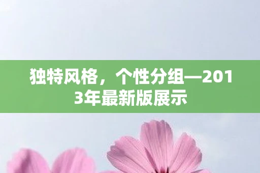 独特风格，个性分组—2013年最新版展示