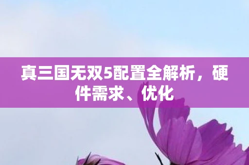 真三国无双5配置全解析，硬件需求、优化