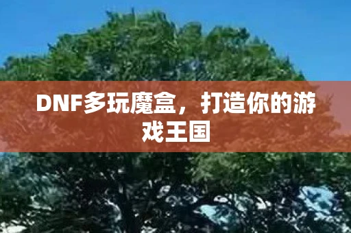 DNF多玩魔盒，打造你的游戏王国