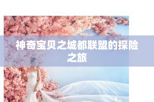 神奇宝贝之城都联盟的探险之旅图片