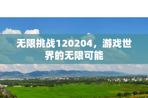 无限挑战120204，游戏世界的无限可能