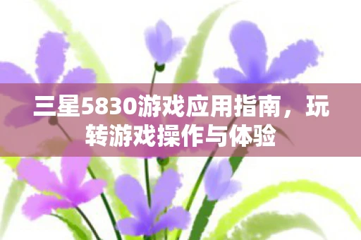 三星5830游戏应用指南，玩转游戏操作与体验