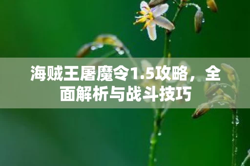 全面解析与战斗技巧图片