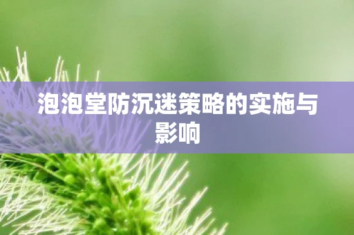泡泡堂防沉迷策略的实施与影响