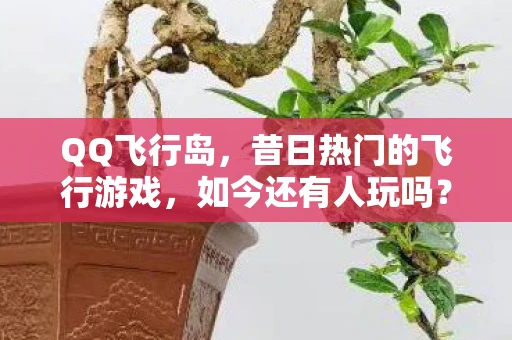 QQ飞行岛，昔日热门的飞行游戏，如今还有人玩吗？
